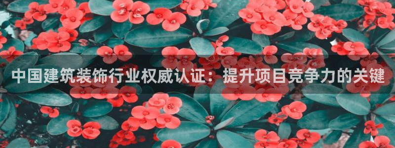 顺盈娱乐下载手机版