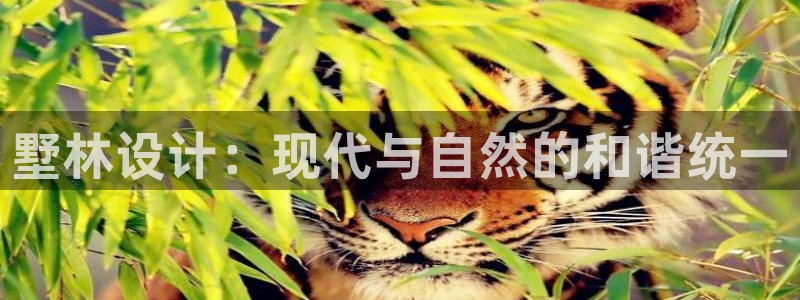 顺盈娱乐语7O777