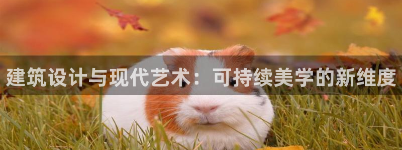 顺盈娱乐招商网判官333OO