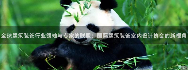 清远顺盈娱乐集团面试