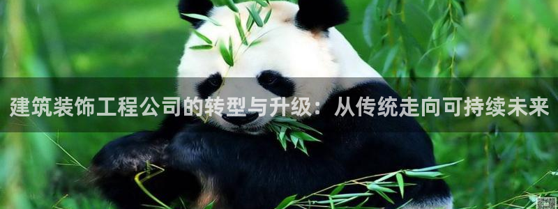 清远顺盈娱乐公司