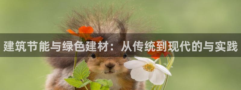 顺盈娱乐322901