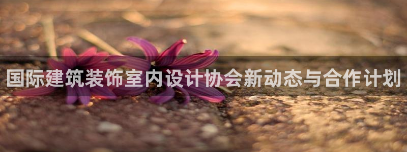 顺盈娱乐网址