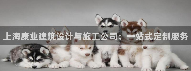 顺盈娱乐是什么福彩