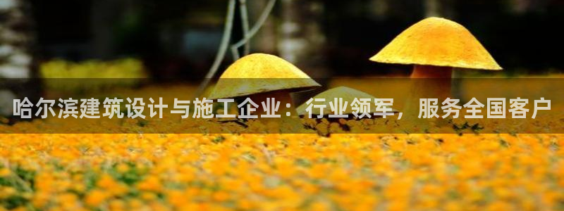 顺盈娱乐团购