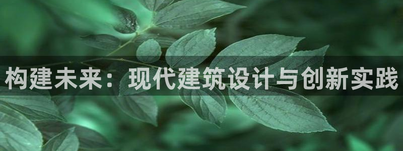顺盈娱乐28是什么意思