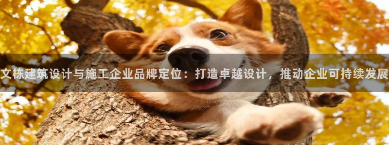 清远顺盈娱乐集团工作