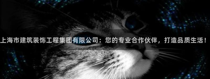 清远顺盈娱乐公司工作