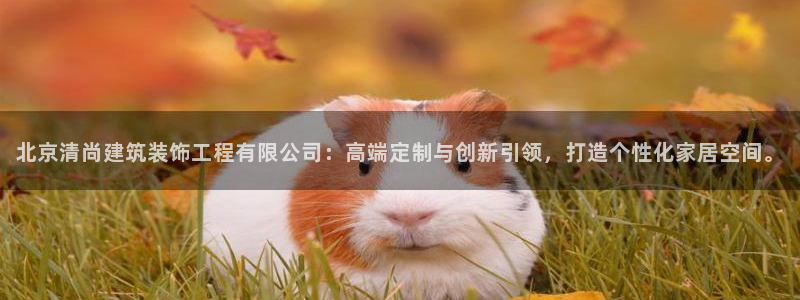 顺盈娱乐下载最新版