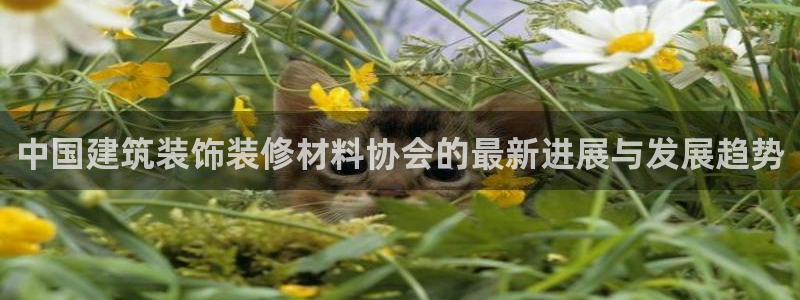 顺盈娱乐在线开户