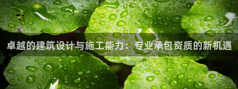 清城区顺盈娱乐