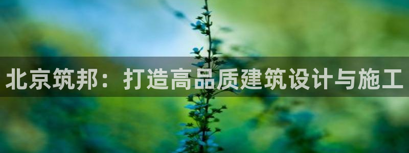 顺盈娱乐下载安装