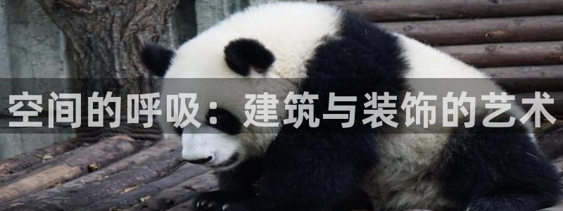 顺盈娱乐在线开户怎么样