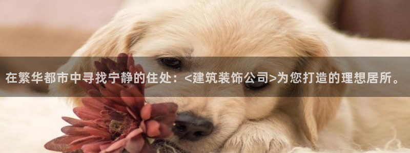 顺盈娱乐28是什么意思