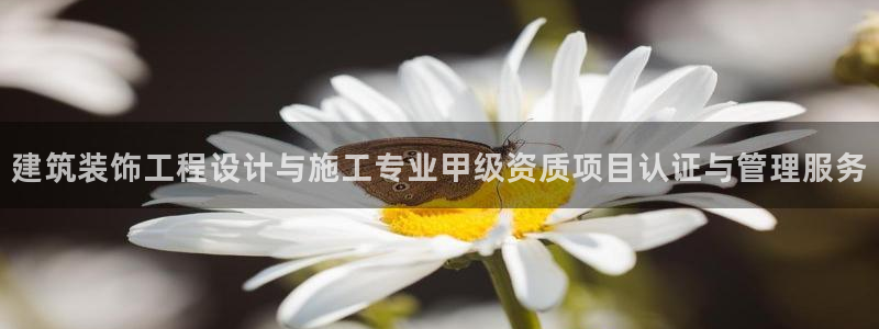 顺盈娱乐认究7276O