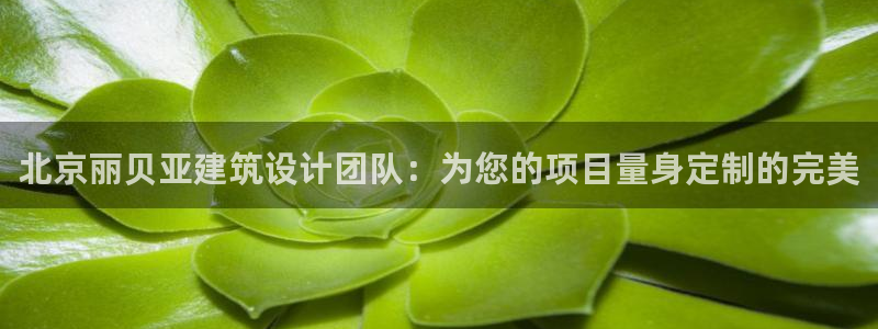 顺盈平台娱乐怎么样啊