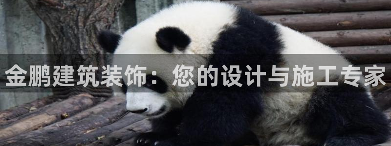 顺盈娱乐招商后原判官333OO