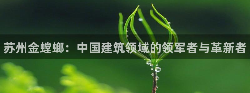 顺盈娱乐棋牌怎么样