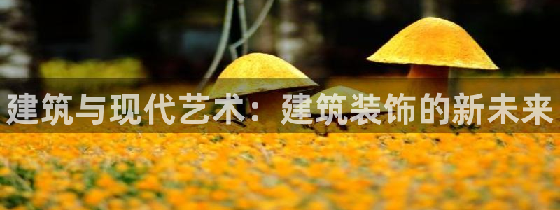 顺盈娱乐主管面试