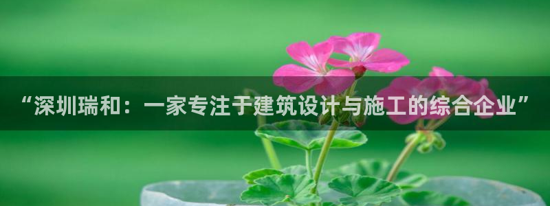 顺盈娱乐彩票官网首页