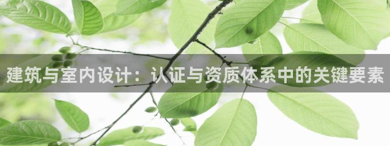 顺盈娱乐下载手机版官网