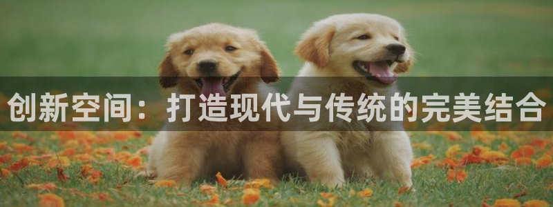 顺盈娱乐注册九判官333OO