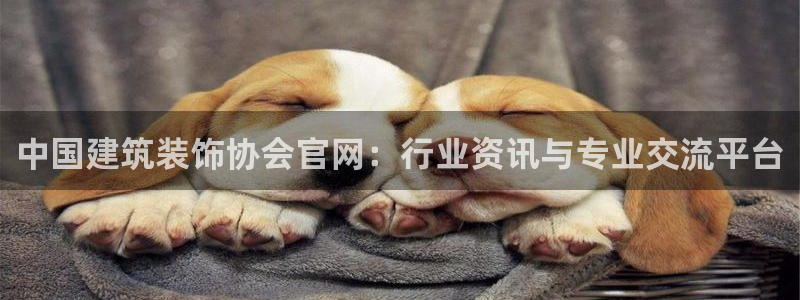 顺盈娱乐