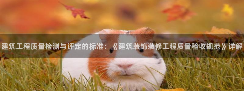 顺盈娱乐主管杂判官333OO