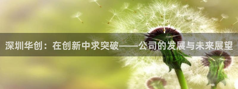 顺盈娱乐代理怎么样做