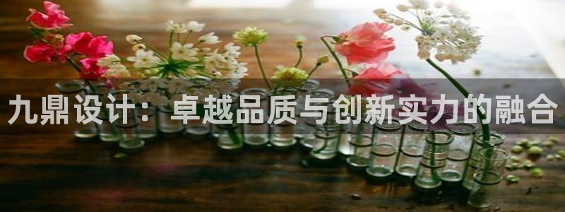 顺盈娱乐注册平台官网