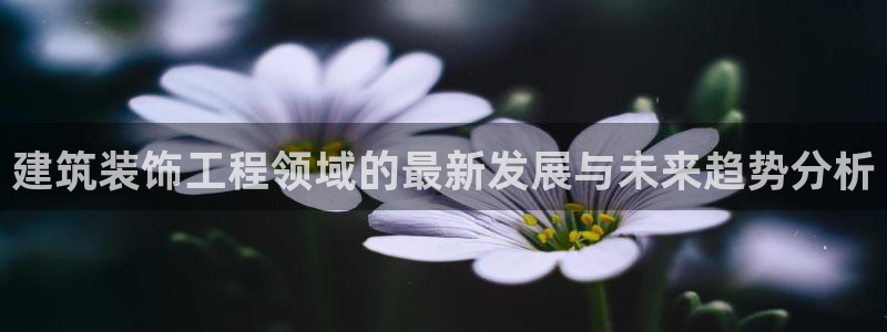 顺盈娱乐最高代理是谁啊