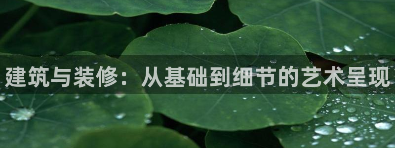 顺盈娱乐主管欲新判官333OO