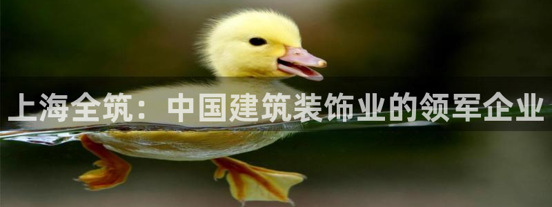 清远顺盈娱乐集团电话