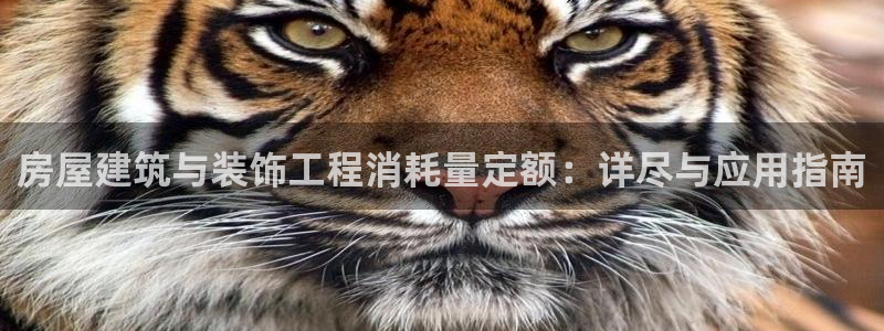 顺盈2娱乐主管刘判官333OO