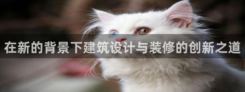 顺盈娱乐下载官网最新版