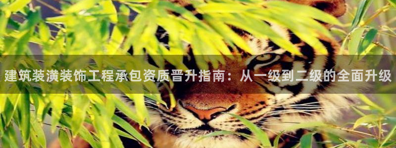 顺盈娱乐登录平台下载