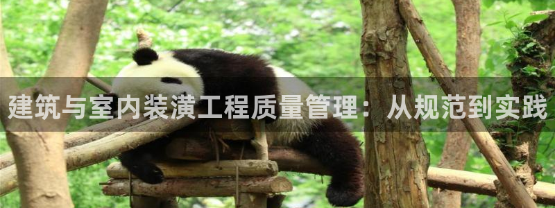 顺盈娱乐在线开户