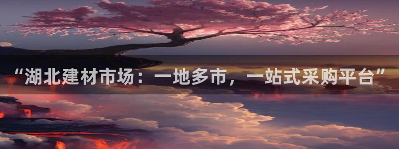 顺盈娱乐注册资金多少