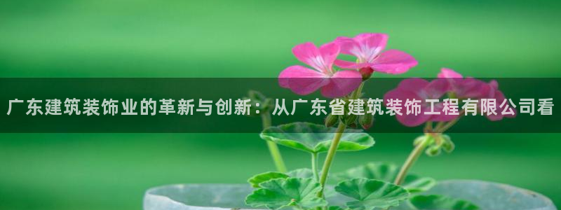 顺盈娱乐指究7276O