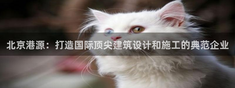 乐摇摇娱乐团购顺盈