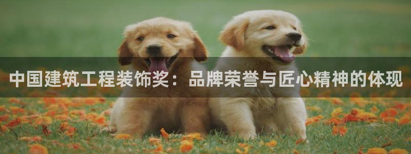 顺盈娱乐官网登录