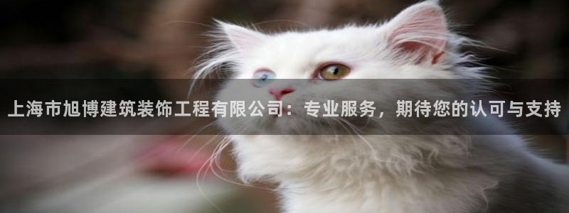 清远顺盈娱乐公司工作