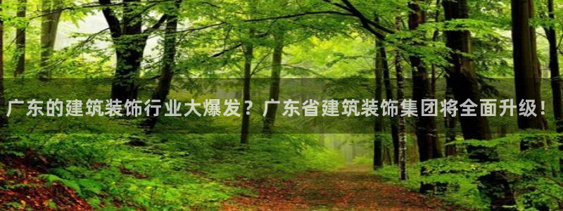 清远顺盈娱乐集团怎么样