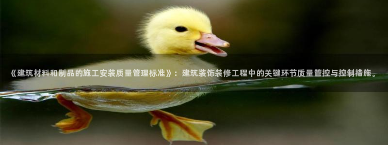 顺盈娱乐彩票怎么样啊