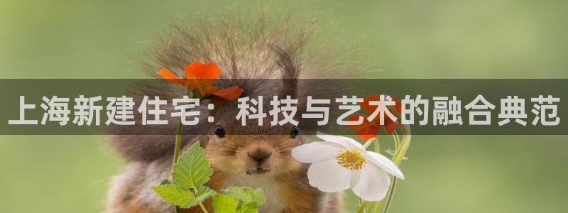 优盈娱乐顺122222