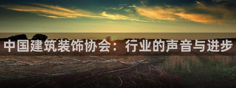 顺盈娱乐最高代理人名单