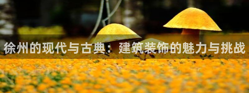 顺盈娱乐主管杂判官333OO