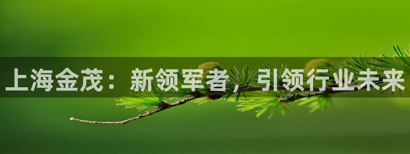 顺盈娱乐主管面试