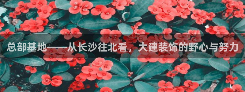 顺盈娱乐登录地址在哪里