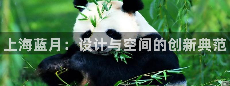 清远顺盈娱乐集团面试